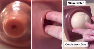By this time, the cervix will already have undergone several changes. How Big A Cervix Dilates During Childbirth Via Tiktok