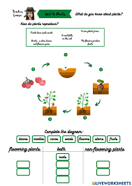 We did not find results for: Unit 4 Plants Activity