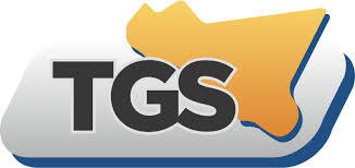 Image result for inps