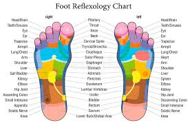 Foot Reflexology Chart Description Stock Illustration