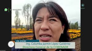 Acustik Rural (Pg256)