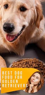 Does anyone use royal canin golden retriever puppy food. Best Dog Food For Golden Retrievers With Active Lifestyles