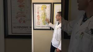 Maybe it gives you a sense of belonging and genuine connection with those who care for you. Tri County Clinic Of Chiropractic Providing Superior Health And Balance Through Chiropractic