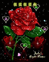 HÃ¬nh áº£nh cÃ³ liÃªn quan