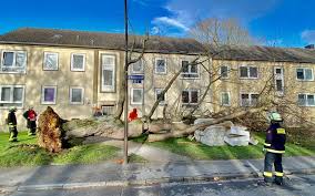 Betreut in schwerte und umgebung eigentümer von immobilien, vom selbstnutzer einer eigentumswohnung bis zum vermieter von mehrfamilienhäuser. Nur Wenige Einsatze Aufgrund Sturmtief Klaus In Dortmund Radio 91 2