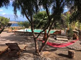 Bei kleinen modellen ist auch eine einigermaßen ebene rasenfläche vollkommen ausreichend. Kleiner Pool Im Garten Der Kasa D Igreja Picture Of Kasa D Igreja Ecolodge Santo Antao Tripadvisor