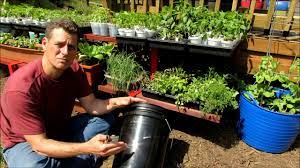 A 30 gallon can yield between a 1/4 pound i recommend a 50 gallon pot. Setting Up A 5 Gallon Container For Gardening Line It Food Safe Drainage Hole Reservoir Youtube