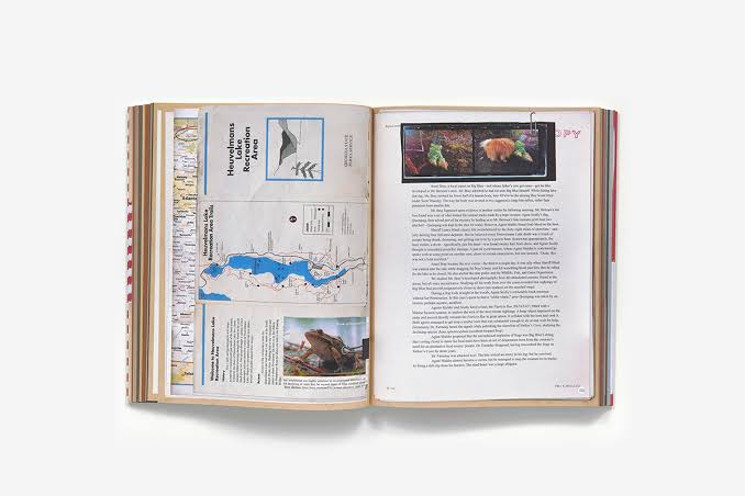 The X-Files: The Official Archives (Hardcover) | ABRAMS