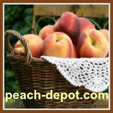 Wash jars with warm water and dish soap. Peach Conversion Measurements Charts How Many Peaches Do You Need