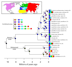 Marcus valerius martialis (known in english as martial / ˈmɑːrʃəl /; Frontiers Polyploidy Expands The Range Of Centaurium Gentianaceae Plant Science