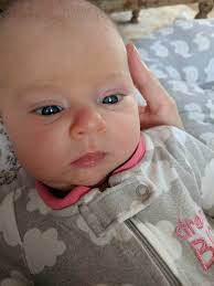 Day-By-Day Masterpiece