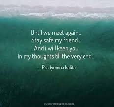 50 Until We Meet Again Quotes After Your Last Goodbye