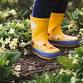 Welly Walk - Pond Dipping event image