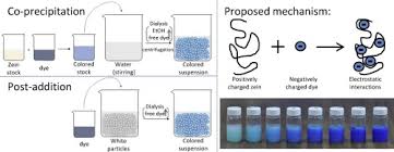 Just as with mrna synthesis, protein synthesis can be divided into three phases: Color Tunable Particles Through Affinity Interactions Between Water Insoluble Protein And Soluble Dyes Sciencedirect