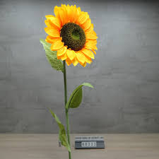 Bunga matahari (helianthus annuus l.) merupakan salah satu jenis. Harga Bunga Matahari Terbaik Dekorasi Perlengkapan Rumah Juni 2021 Shopee Indonesia