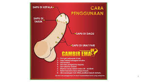 Cara pakai gambir serawak untuk disfungsi ereksi. Gambir Emas Youtube