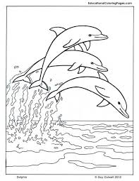 Shereen lehman, ms, is a healthcare journalist and fact checker. A Group Of Dolphins In Open Water Area Coloring Page Letscolorit Com Dolphin Coloring Pages Animal Coloring Pages Dolphin Images