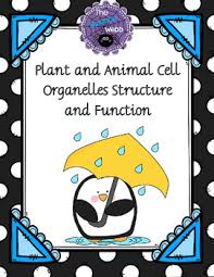Unlabelled plant cell diagram black and white. Plant Cell Unlabeled Worksheets Teaching Resources Tpt