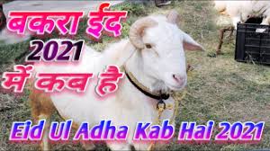 Top 10 bollywood actors who preform hajj and umrah salman khan shahrukh khan saif ali khan. Bakrid Kab Hai 2021 Bakra Eid Kab Hai 2021 Eid Ul Adha Kab Hai 2021 Youtube
