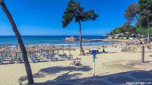 Passeig mallorca 9a, 07011, palma de mallorca, spain legal notice | consent choices | advertising | subscriptions switchboard +34 971 78 84 00 | news desk +34 971 78 84 10 | editorial +34 971 78 84 11 Paguera Mallorca Informationen Uber Paguera Peguera
