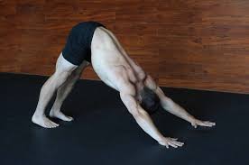 For everyone, downward dog uses the strength of your arms and legs to fully and evenly stretch your spine. Hard Yoga Poses For Men Must Do S Man Flow Yoga