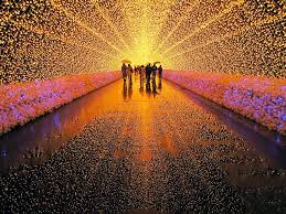 Nabana No Sato Light Tunnel Nagashima Winter Light Festival Festivals Around The World Winter Light