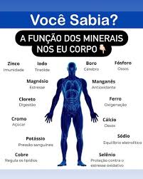 MINERAIS - FUNÇÕES. 🔥 - Os minerais desempenham diversas funções essenciais  no nosso corpo. Eles são nutrientes indispensáveis para manter o  funcionamento adequado dos processos biológicos. ☑️ - Contribuem ativamente  👇🏻 1️⃣ -