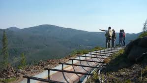 Beetles Mines Threaten Montana Capital S Forested Watershed Treesource