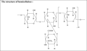 What is the function of hemicellulose. Hemicellulose An Overview Sciencedirect Topics