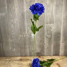 Indigo flowers are perfect to give to someone who is constantly busy as a way of signaling to slow down and listen to their gut feelings. Stemmed Flowers Dark Blue Elsa Hydrangea The Outdoor Look