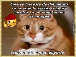 Pentru oricine este vrea să trăiască mai mult și mai bine, mișcarea trebuie să fie parte din rutina zilnică. Pin On Cori