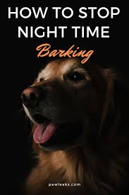 Here's what you need to know about puppies barking! Why Do Dogs Bark At Night Dog Barking At Night Dog Barking Stop Dog Barking
