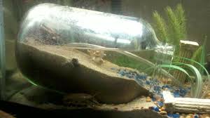 Homemade Island For Aquariums With Land Dwellers I E Fiddler Aquarium Air Pump Aquarium Fish Tank Cool Fish Tanks