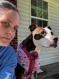 I'm new here and this is Oreo I rescued her a little over 3 weeks ago 💜