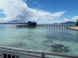 (yayasan wikimedia) ialah pertubuhan induk untuk wikipedia, wiktionary, wikiquote, wikibooks (termasuknya wikijunior dan wikiversity), wikisource, in memoriam 9/11, wikimedia commons, wikispecies, dan wikinews. File Kampung Arborek Jpg Travel Guide At Wikivoyage