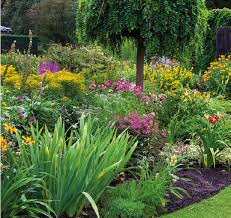 Si tu casa no recibe mucha luz del exterior o tiene un ambiente muy seco, mantener plantas naturales puede convertirse en una tarea casi imposible. Descubre Las Mejores Plantas De Exterior Fronda