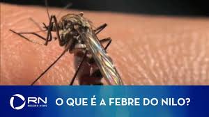 Have been officially diagnosed with west nile virus this year and two hav. O Que E A Febre Do Nilo Youtube