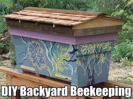 Diy beginner hive said to be the best for beginner backyard beekeepers, this hive is inexpensive to make and portable. Diy Backyard Beekeeping For Beginners Diy Cozy Home Backyard Beekeeping Backyard Bee Beekeeping For Beginners