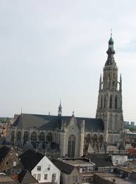 argusvlinder stad nederland kerken
