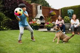 Family pet centre is south africa's biggest pet stores. Dogs Healthy Pets Healthy People Cdc