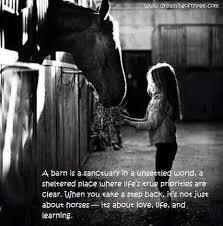 Horse Barn Quotes Tumblr Maxpals