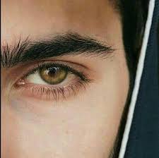 Man Eye Amber Eyes Olive Green Eyes Hazel Eyes Male Beautiful Handsome Black Hair Scholar Hazel Eyes Aesthetic Eyes Olive Green Eyes