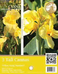 May 03, 2021 · this method prevents possible rotting from extended submersion. Yellow Tall Canna Flower Bulbs 3 Count At Menards