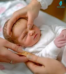 Image result for Preterm Infant Growth