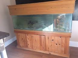 But if you are a beginner to fishkeeping, you should pay extra attention to the kinds of fish you choose for your tank and also to the combination you create out of them. Aquarium Fish Tank 100 Gallon Ebay