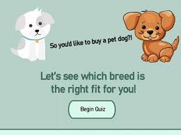Maybe you would like to learn more about one of these? Storyline Find Your Dog Breed E Learning Examples E Learning Heroes
