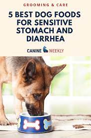 5 Best Dog Foods For Sensitive Stomach And Diarrhea 2021 Best Dog Food Dog Food Recipes Sensitive Stomach