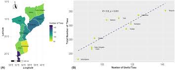 Image result for Physostigma mesoponticum