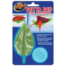 Betta Bed Leaf Hammock Large With Images Betta Betta Fish Betta Fish Care
