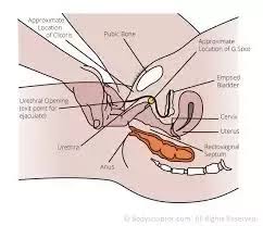To wet or bespatter with a liquid or viscous substance so ejected: How To Make Her Squirt By Licking Quora